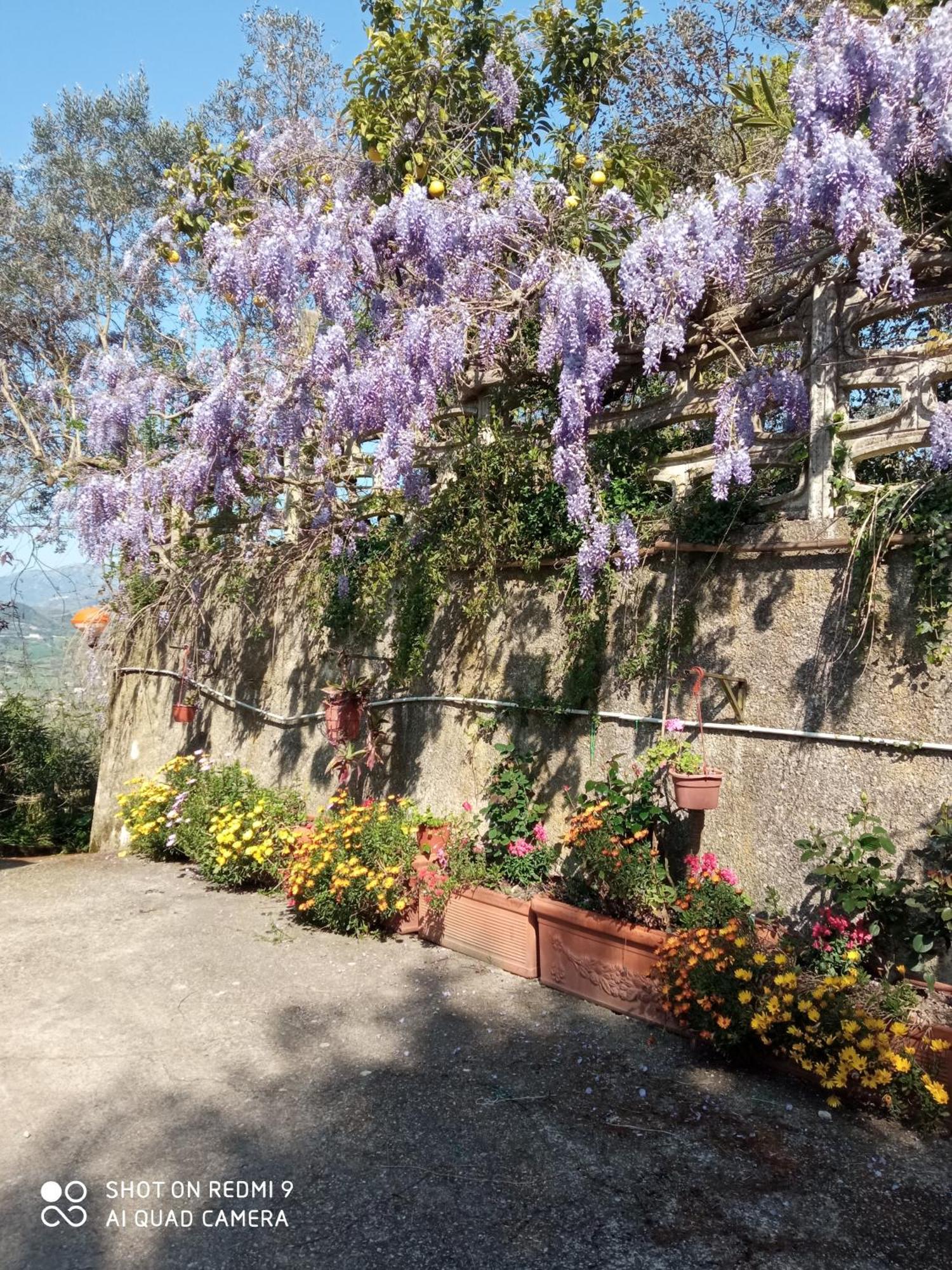 Belvedere Di Caiazzo Esterno foto
