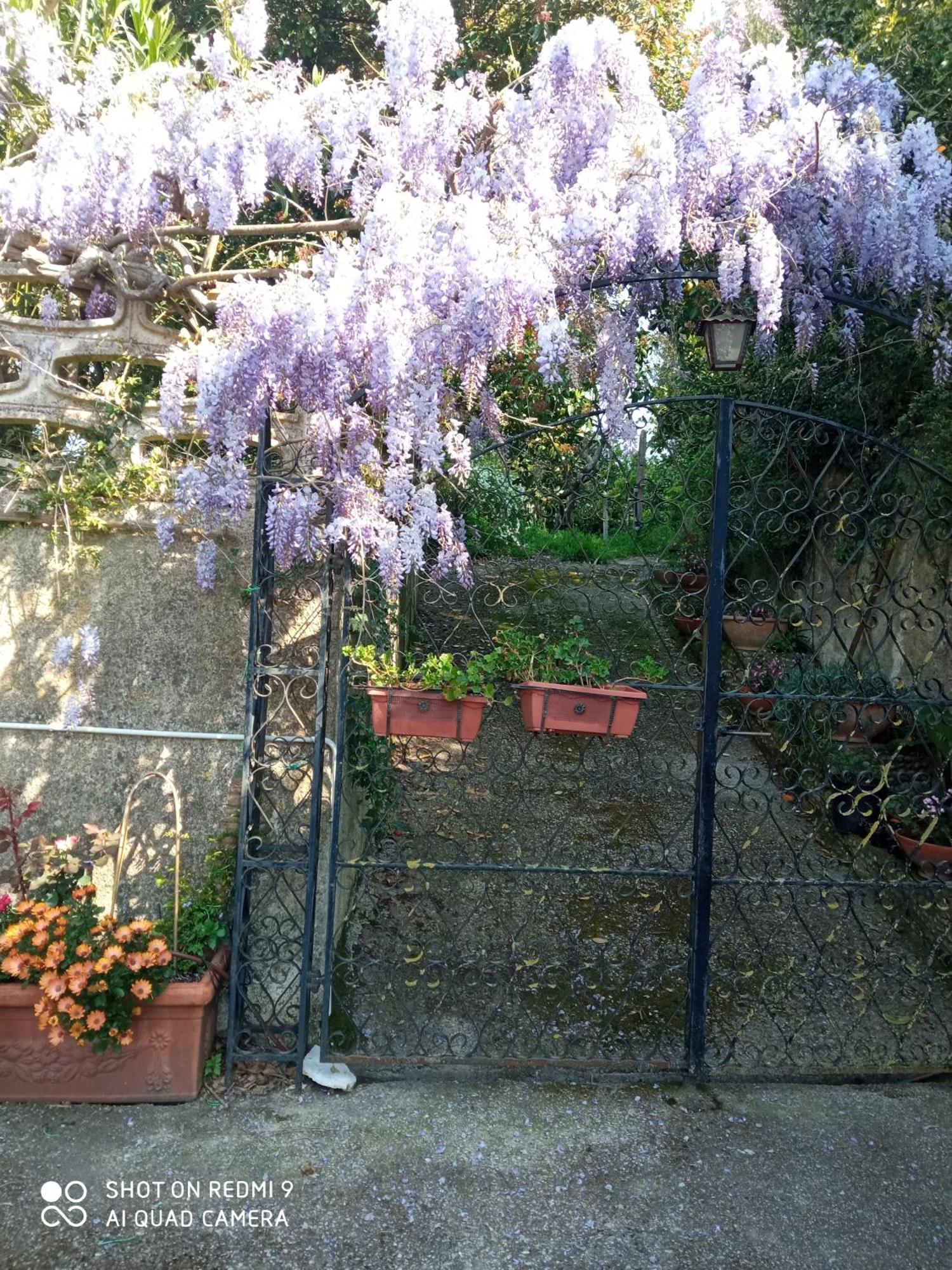 Belvedere Di Caiazzo Esterno foto