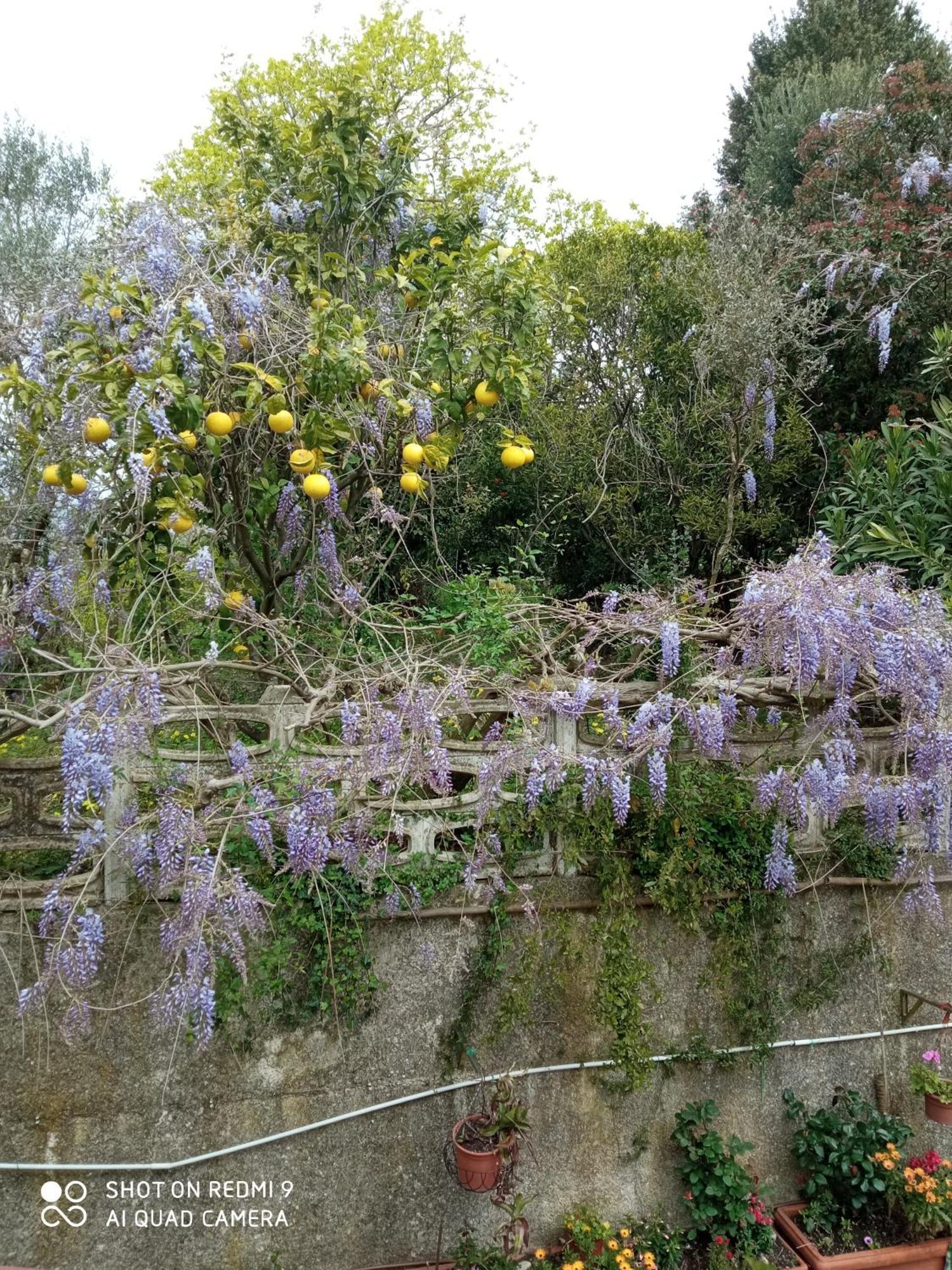 Belvedere Di Caiazzo Esterno foto